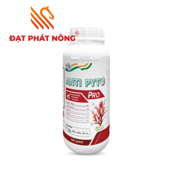 XÌ MỦ RỬA RỄ