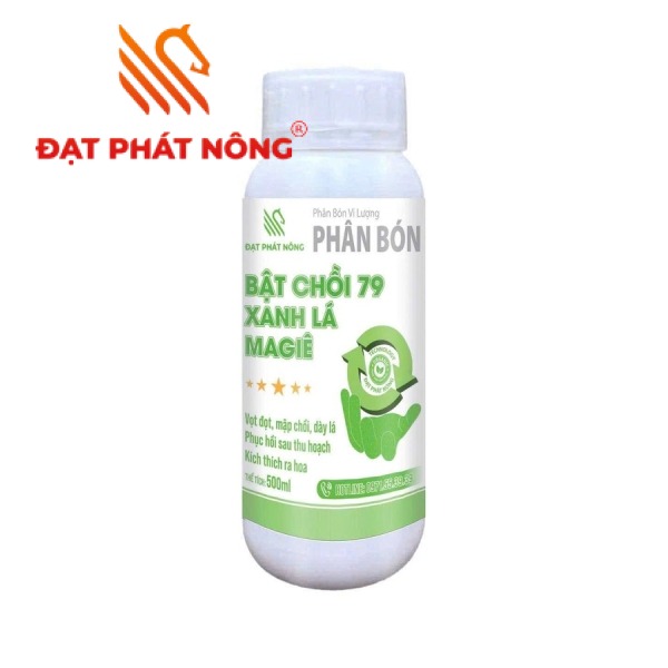 BẬT CHỒI 79 XANH LÁ - MAGIÊ